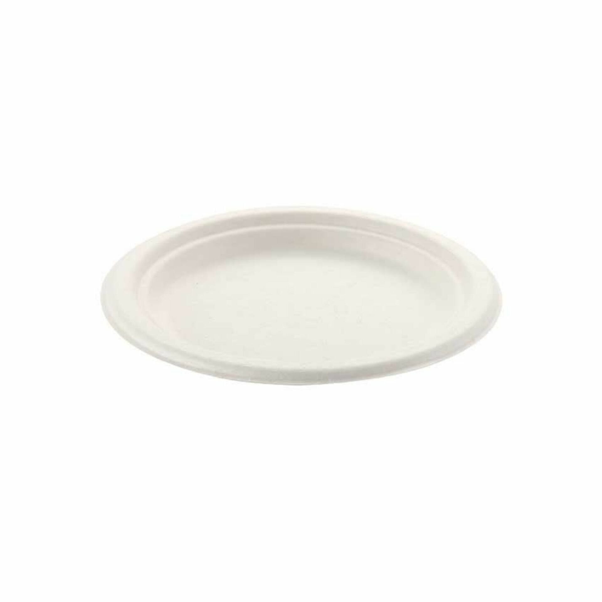 EKOLOJİK TABAK 22CM  50X20